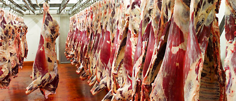 Odvlaživanje u mesnoj industriji-Trotec