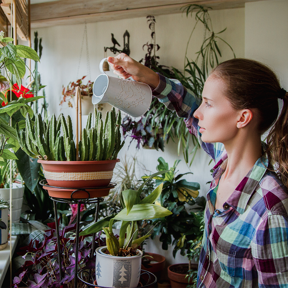 Ultrazvučni ovlaživač zraka B 5 E - The Green Thumb